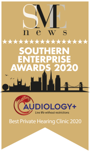 Aug20491-Southern Enterprise Awards 2020 Winners Logo